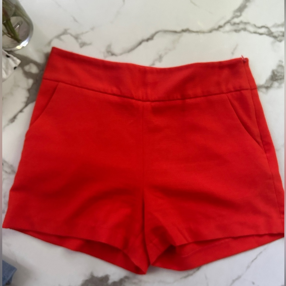 orange business professional shorts